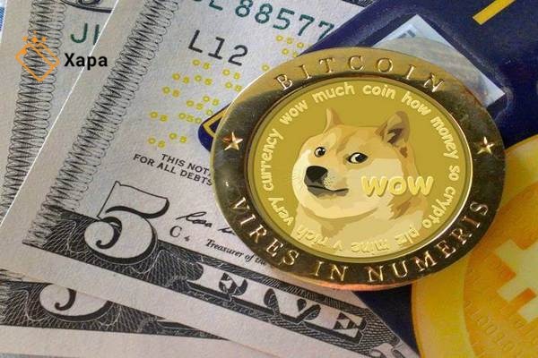 100 dogecoin to btc