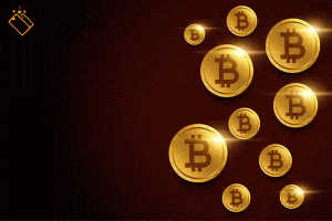 what is bitcoine-xapawallet